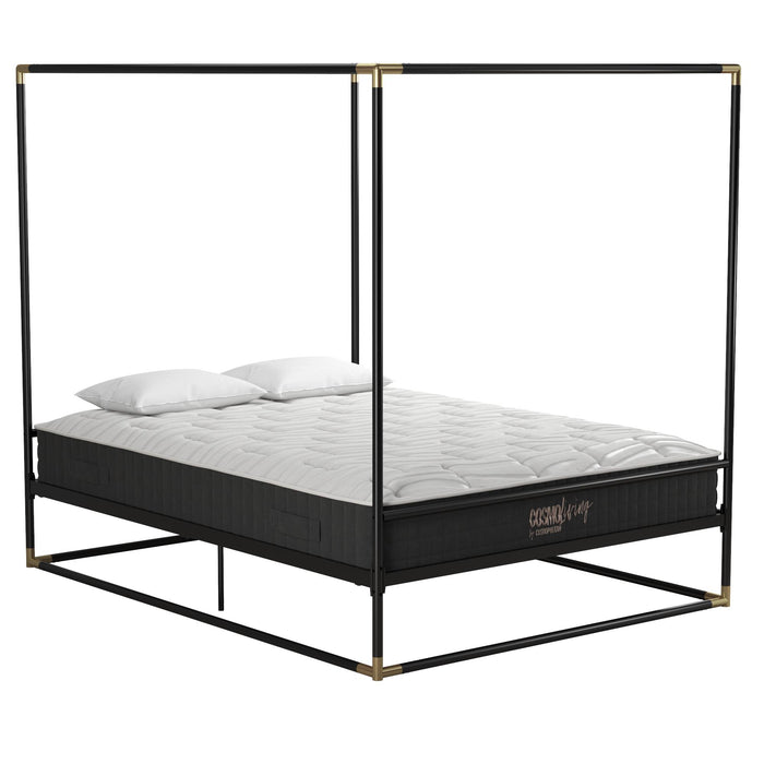 Cosmoliving By Cosmopolitan Celeste Canopy Metal Queen Bed - Black/Gold