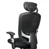 TygerClaw Ergonomic High Back Mesh Office Chair with Headrest|TygerClaw Fauteuil de Bureau Ergonomique en Maille a Dossier Haut avec Appui-tete