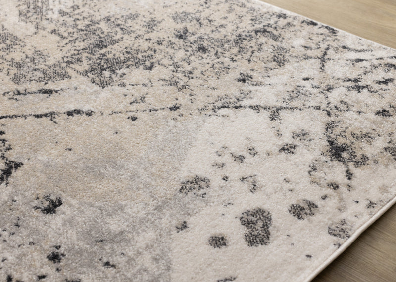 Sophie Grey Beige Black White Paint Splatter Design Rug, 7'10\" x 10'6\" Indoor Area Rug
