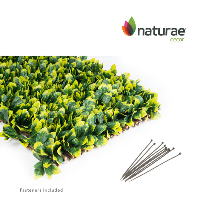 Willow Expandable Laurel Trellis - 40\" x 80\" 