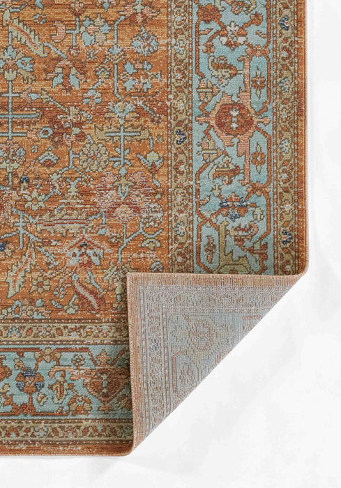 Hailey Traditional 7'10\" x 10'6\" Area Rug in Orange Indoor Area Rug