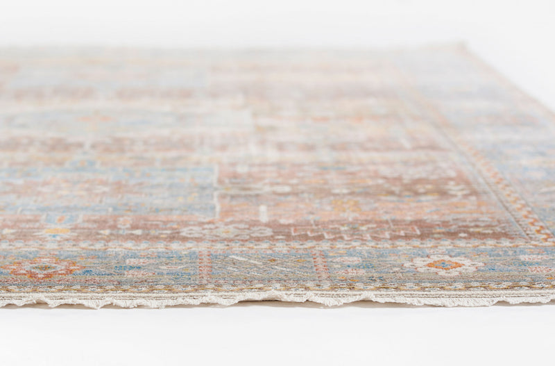 Dulce Traditional 9'0\" x Area Rug in Multi Indoor Area Rug