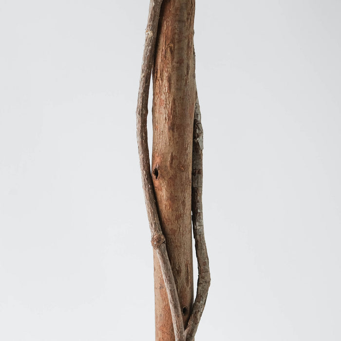 White 59\" Poinsettia Tree