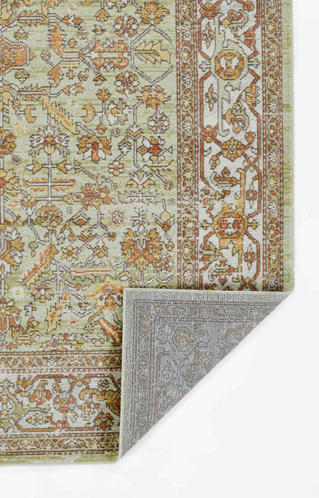 Hailey Traditional 5'3\" x 7'3\" Area Rug in Green Indoor Area Rug