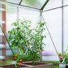 Outsunny 6' x 4' x 6.6' Polycarbonate Greenhouse Walk-in Green House Clear