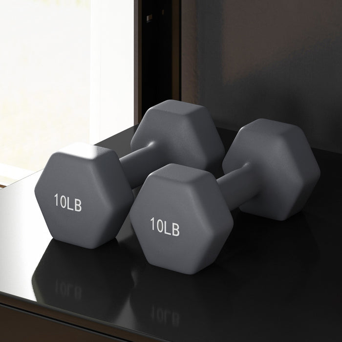 Soozier 2 x 10LBS Hex Dumbbells Set Weights Pair for Home Gym Workout