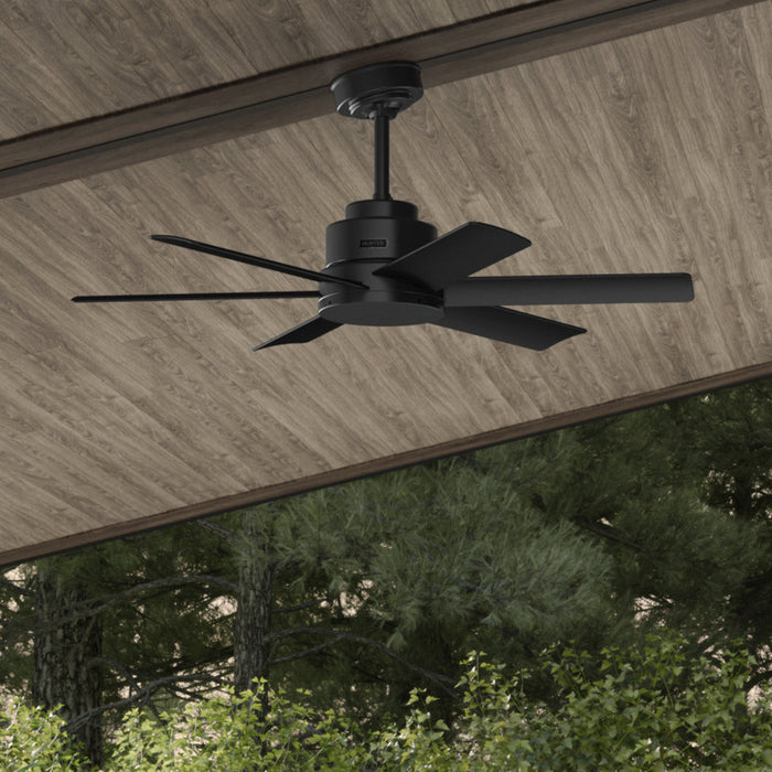 Kennicott Ceiling Fan - Black