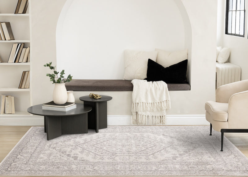 Fallon White Grey Elegant Faded Traditional Rug, 6'7\" x 9'6\" Indoor Area Rug