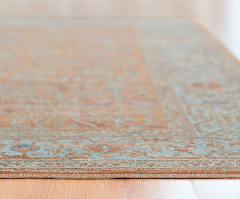 Hailey Traditional 4'0\" x 6'0\" Area Rug in Orange Indoor Area Rug