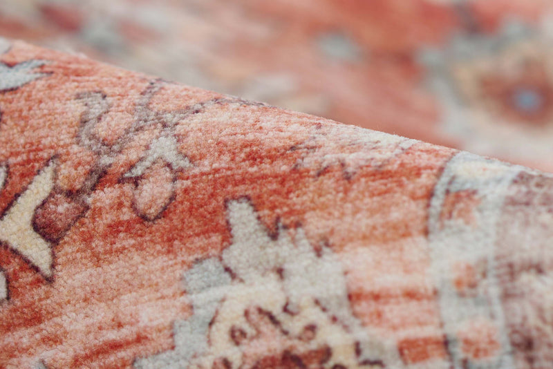 Ruby Traditional 6'6\" x 9'0\" Area Rug in Brown Indoor Area Rug