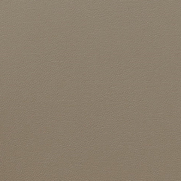 Courding Modern Vegan Leather Wood Dining Chair in Tan - Set of 2