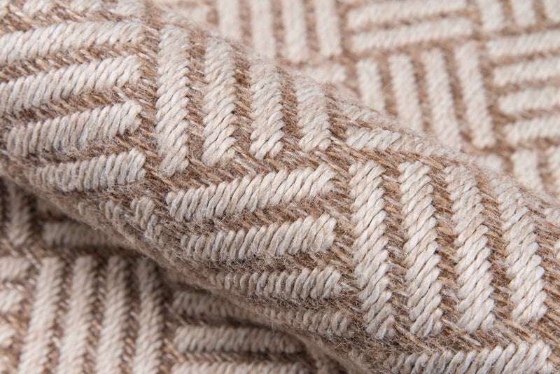 Eve Contemporary 5'0\" x 7'6\" Area Rug in Brown Indoor Area Rug