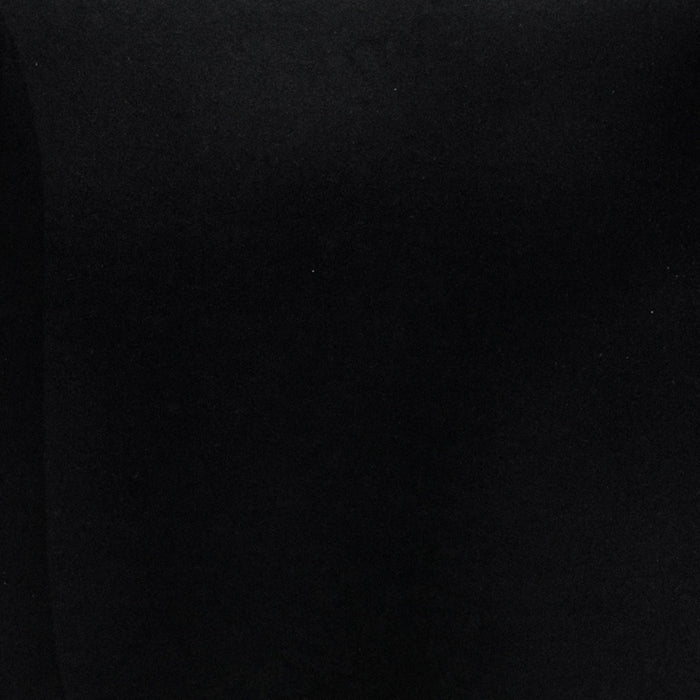 Amirah Modern Velvet Lounge Chair in Black - Set of 2