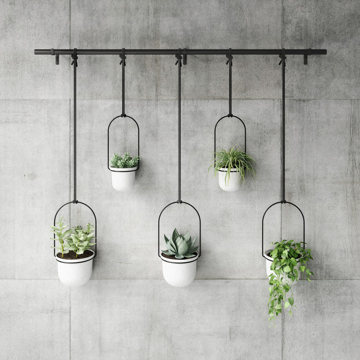 Umbra White Triflora Hanging Planter - Set of 6