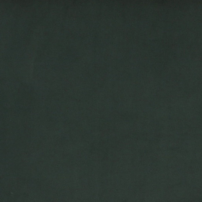 Manhattan Comfort Paramount Polished Brass Velvet Accent Armchair - Forest Green