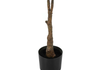 52” Artificial Indoor Rubber Tree in 5” Pot  | Hévéa artificiel de 52 po en pot de 5 po pour l’intérieur