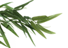 50” Artificial Indoor Bamboo Tree in 5” Pot  | Bambou artificiel de 50 po en pot de 5 po pour l’intérieur