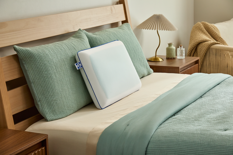 Sealy® Cool Comfort Memory Foam Standard Pillow 