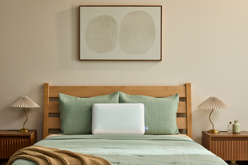 Sealy® Cool Comfort Memory Foam Standard Pillow 