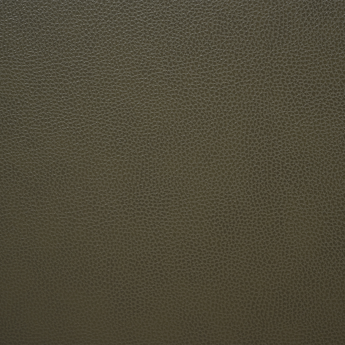 Viero 64.2\" Genuine Leather Loveseat - Green  