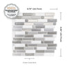Smart Tiles Peel and Stick 4-Sheet 10 x 10 Backsplash - Crescendo Agati|Dosseret Smart Tiles peler et coller 10 x 10, 4 feuilles - Crescendo Agati