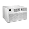 TCL 10,000 BTU Wall Air Conditioner - H10T9E1-ACA