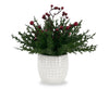 Kort & Co. Berry Topiary 