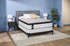 Sealy Copper Collection Twin Boxspring | Sommier Collection Cuivre de Sealy pour lit simple | CP25BXTB