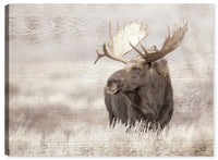 Lone Moose Canvas Artwork – 30