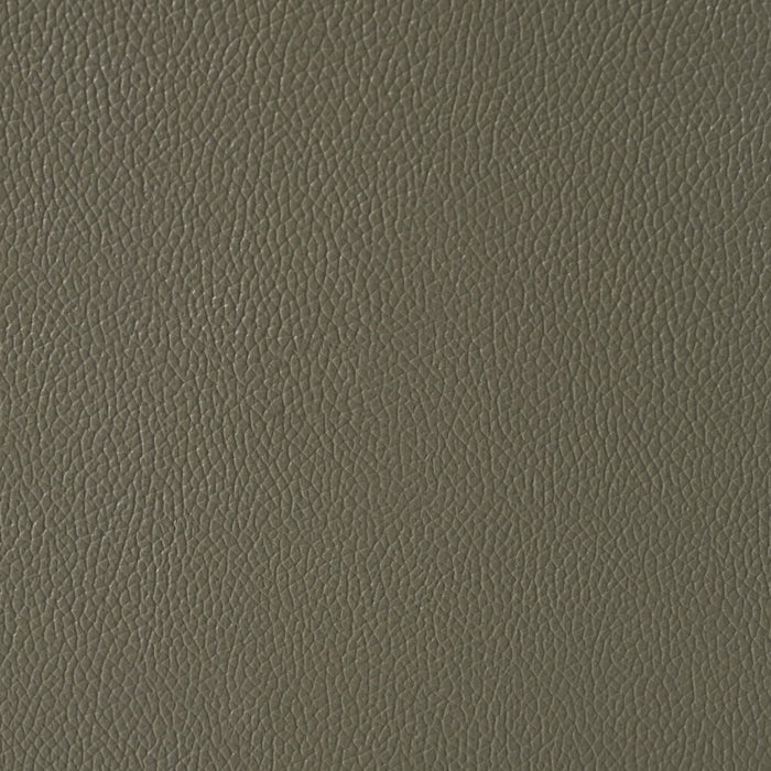 Matteo 64\" Genuine Leather Power Reclining Loveseat - Aviarah Grey