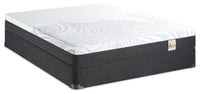 Springwall Spa 8 Firm Smooth Top Queen Mattress in a Box Set 