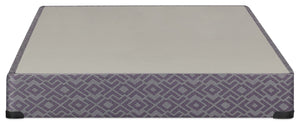 Sealy 2025 Queen Boxspring