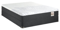 Springwall Spa 10 Firm Smooth Top Twin Mattress in a Box Set 