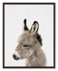 Baby Donkey Framed Artwork with a Stucco Finish – 17