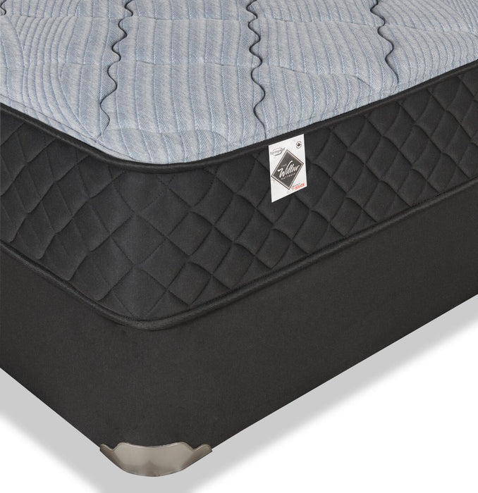 Springwall Red Cedar Tight Top Medium Queen Mattress-in-a-Box Set