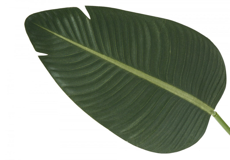 60\" Artificial Bird of Paradise in 5\" Pot