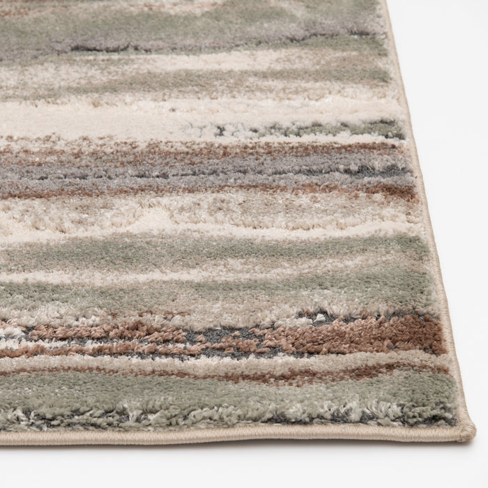 Birch 5' x 7' Machine Woven Area Rug – Multicolour 