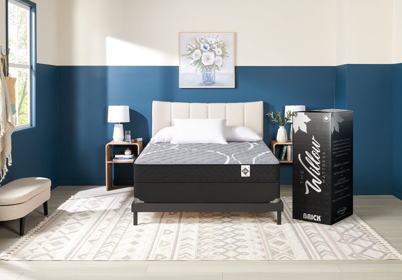 Springwall White Birch Tight Top Firm Full Mattress-in-a-Box Set