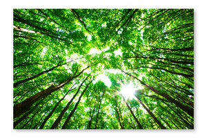 Green Forest 2 28x42 Wall Art Frame And Fabric Panel