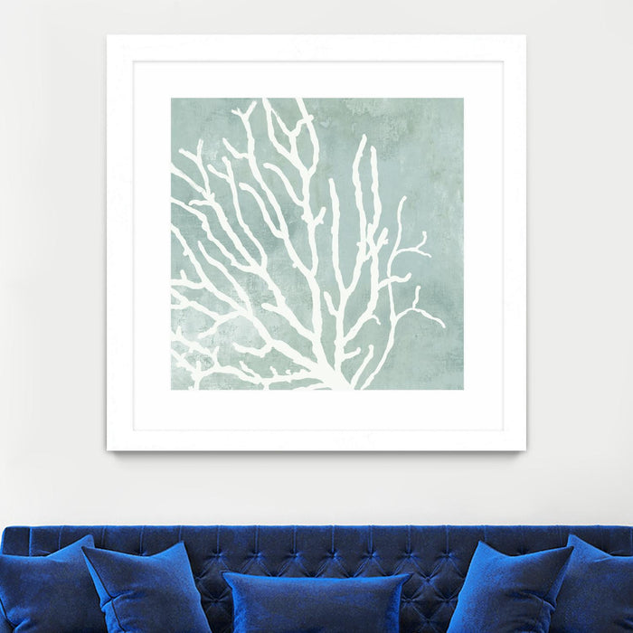 \"Sea Crown I\" Matted and Framed White 36x36 Wall Art