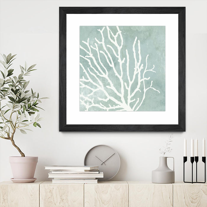 \"Sea Crown I\" Matted and Framed Black 30x30 Wall Art
