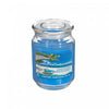 18 Oz Scented Jar with Glass Lid Ocean Dreams - Set of 2 Candle