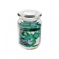 18 Oz Scented Glass Jar with Glass Lid Eucalyptus Mint - Set of 2 Candle