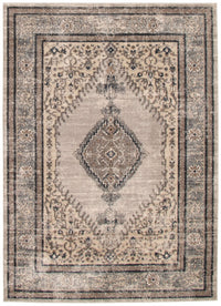 Octavian Bijar Ivory Area Rug - 5'3
