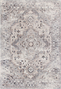 Far Beige 4x6 Area Rug