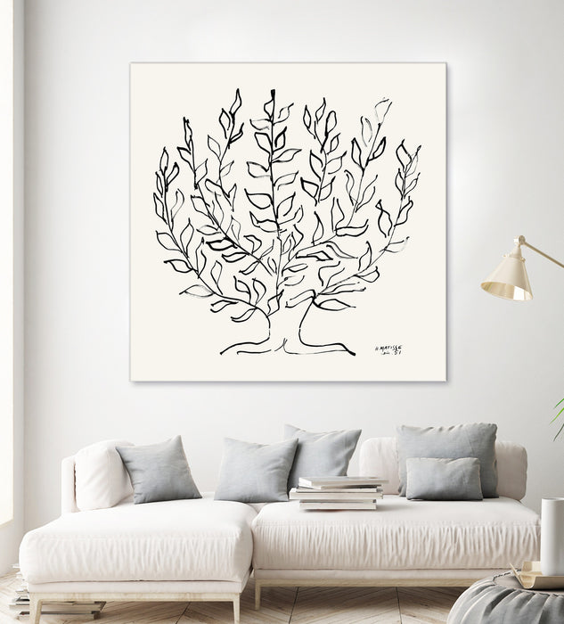 \"L'arbre Platane\" Giant Art 54x54 Wall Art