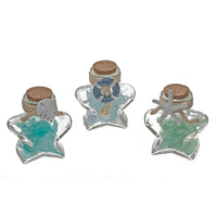 Star Bottled Glass Rocks and Seashells with Decor - Set of 6