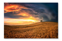Lonely Tree in Sea of Wheat 28x42 Wall Art Fabric Panel Without Frame