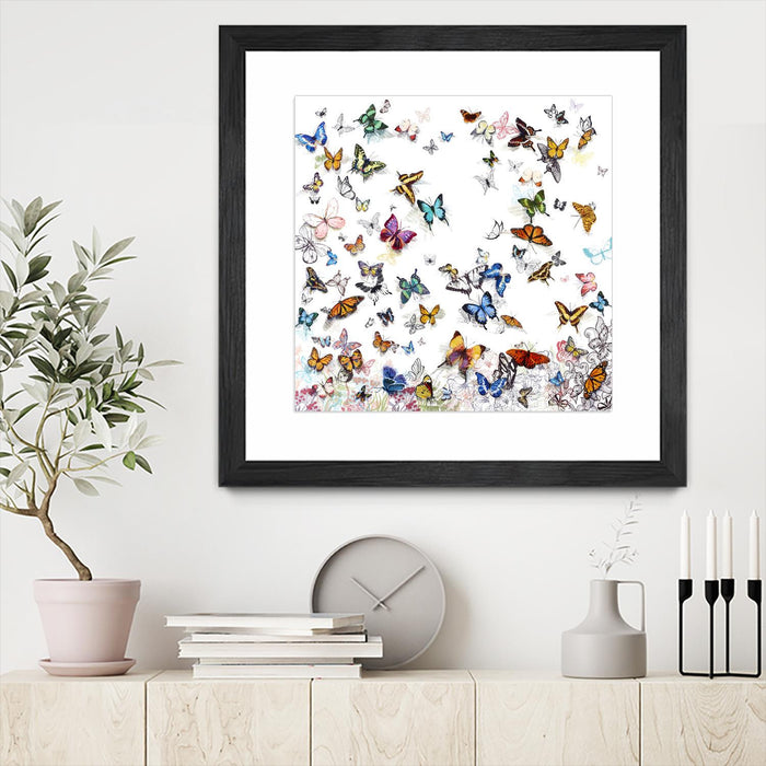 \"Papillon\" Matted and Framed Black 36x36 Wall Art
