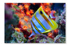 Marine Tropical Fish 16x24 Wall Art Fabric Panel Without Frame